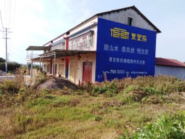  天长必须知道的墙体广告形势