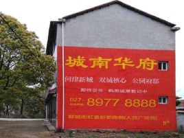  天长百分之90的人都不了解的农村墙体广告