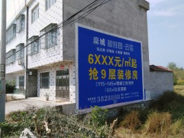  天长墙体广告质量分析