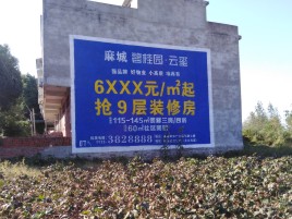 天长品牌公司青睐的墙体广告