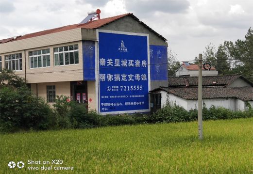  天长决定墙体广告价格的因素有哪些？