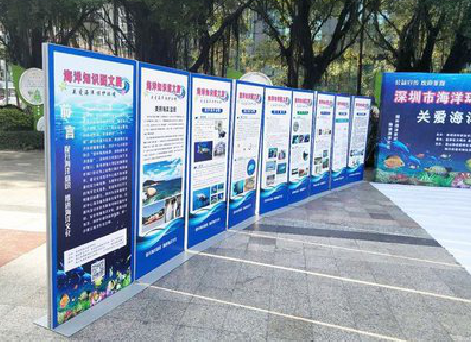  天长KT板的种类和知识。